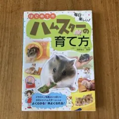 Item thumbnail for item 909ce741-ac63-4a51-97a4-0d375a2a340c