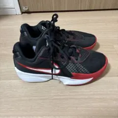 Item thumbnail for item 936c13d6-25c2-460d-8966-7c33bd668003