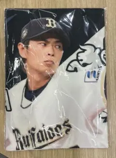 Buffaloes2024,2025ベース型タペストリー 廣岡大志 - メルカリ