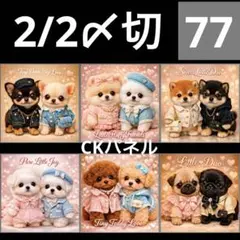 新柄♥️期間限定レアパネル生地　6犬種パネル生地　6柄セット　CKパネル