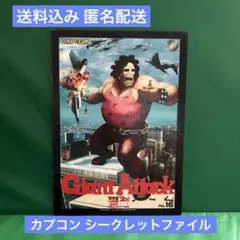 カプコンシークレットファイル No.16 ストリートファイターⅢ CAPCOM