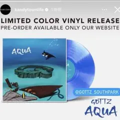 【未使用】Gottz Yo-Sea IO AQUA LP レコード 2025年最新】gottz レコードの人気アイテム - メルカリ
