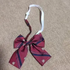 赤 ストライプ リボン と紺ストライプネクタイ