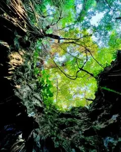 マナト　MANATO　メンプロ　食育しゃもじ　BE:FIRST　ビーファースト