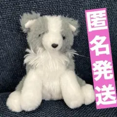 くったりボーダーコリー おりこうさん STコンプリート ≪1月の新商品≫くったりボーダーコリーおりこうさん