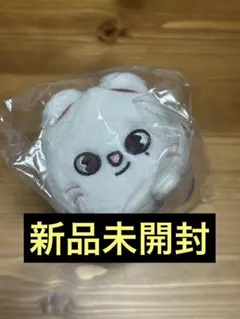 2026年最新】SKZOO ぬいぐるみ チャンビンの人気アイテム - メルカリ
