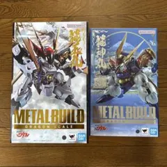 METAL BUILD DRAGON SCALE 龍王丸 龍神丸 35th