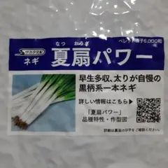 ひゆまか様 リクエスト 2点 まとめ商品