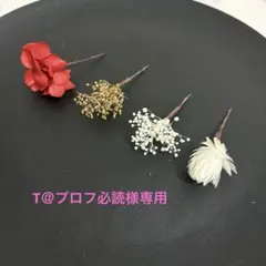 T＠プロフ必読様専用