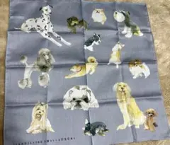 Item thumbnail for item f65c9224-8ad4-42e9-bc4d-4df747a14f47