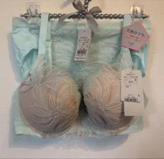 トリンプ天使のブラ魔法のハリ感E75M新品未使用 ミントカラーまとめ売り大歓迎❗️