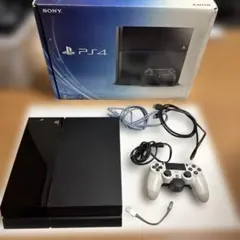 PS4 本体 箱ありフルセット 背面ボタン付きDUALSHOCK4動作確認済み