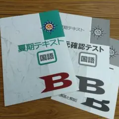 中2国語 夏期テキストB＋単元確認テスト 教育開発出版 未使用品 送料無料！