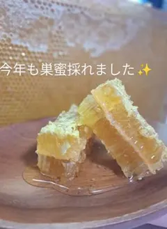 日本ミツバチの巣蜜(里山の百花蜜コムハニー)182g - メルカリ