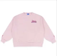 新品ディズニーリゾート/パルパルーザ/ミニーのファンダーランド/トレーナー①