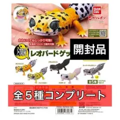 全5種セット　開封品　いきもの大図鑑レプティ　レオパードゲッコー　生き物　ガチャ