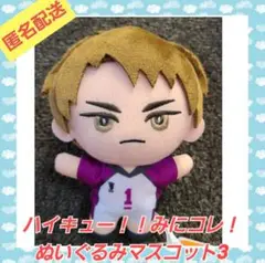 ハイキュー!! みにコレ！ぬいぐるみマスコット　牛島若利②