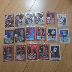 バレーボール 日本代表 トレーディングカードセット