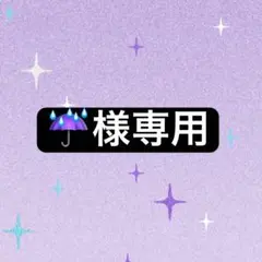 ☔️様専用