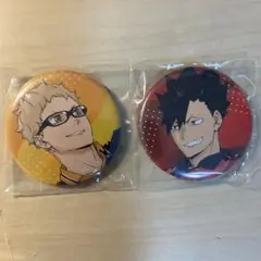 ハイキュー ゴミ捨て場の決戦 BluRay 購入特典 缶バッジ 2点　セット
