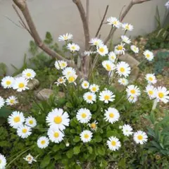 たかちゃん様 リクエスト 3点 まとめ商品