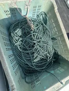 Item thumbnail for item e3047e0e-0e74-4fd7-9aa1-b3156f8f008c