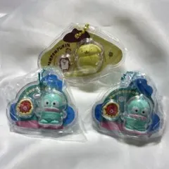 サンリオ　パッケージチャーム　ポムポムプリン ハンギョドン