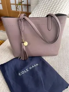 【超美品！】COLE HAAN トートバッグ レザーA4収納