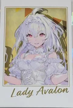 FGO OVER THE SAME SKY ポートレイト レディアヴァロン - メルカリ