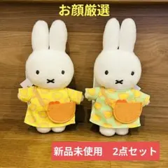 Item thumbnail for item adfa61eb-8950-42d1-ae65-816ee4107ab5