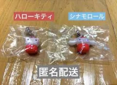 サンリオキャラクターズ　めじるしアクセサリー