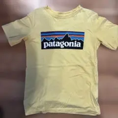 patagonia イエロー Tシャツs