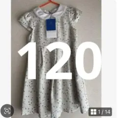 Item thumbnail for item 237b5fc2-83f3-47c6-ba94-eb61baef4f30