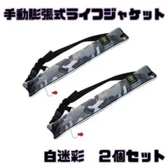 2点セット】激レア 新品 トップウォーター ルアー リアル デザイン