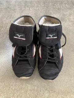 Item thumbnail for item 17670d9d-0e20-442a-973f-876679317f89