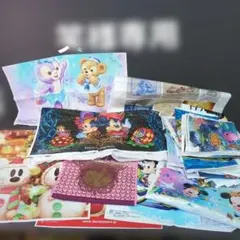 ディズニー ランド シー ショッピング バック バッグ ショップ 袋 おみやげ