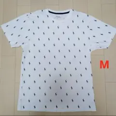 Item thumbnail for item b7fd6ba1-eed3-4f75-bd07-739d72678aae