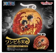 ワンピの実 GRAND CAPSULE Vol.02