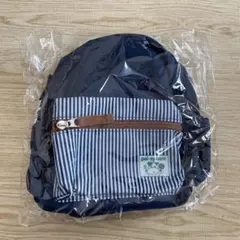 pal-system ネイビーリュック