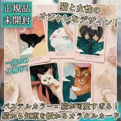 正規品】入手困難✨キュートな猫づくし✨可愛くて魅惑的な猫たちの