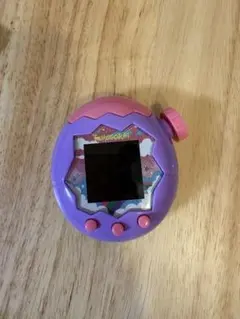 BANDAI Tamagotchi 本体 竹パラ しなこ たまごっち - メルカリ