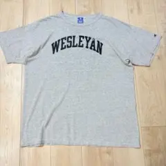 ⚫︎80s USA製 ビンテージ チャンピオン Tシャツ 霜降り 染み込み？ 目付