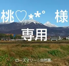 桃♡∗︎*゜様専用