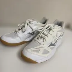 Mizuno Cyclone Speed バレーボールシューズ　24.5cm