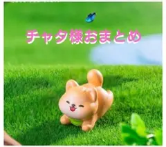 チャタ様おまとめ