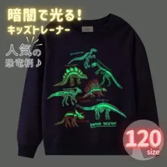 【120サイズ】 光る！トレーナー キッズ 恐竜 ネイビー 長袖 綿 子供