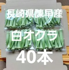 ⑥長崎県諫早産 白オクラ 40本のサムネイル