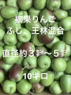 摘果りんごふじ、王林10キロのサムネイル