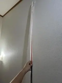 乗馬 長鞭 オレンジ 110cm