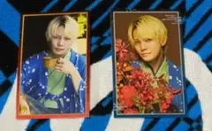 逢魔時コンフュージョン　今井文也　トレカ　トレーディングカード　バラ